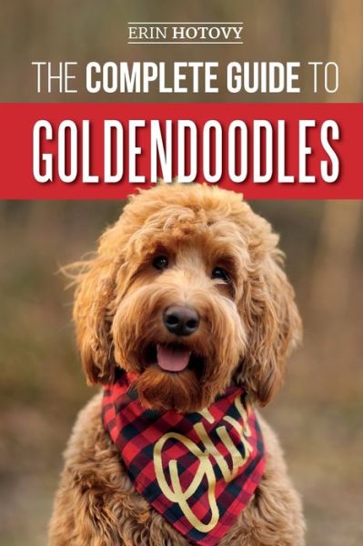 Cover for Erin Hotovy · The Complete Guide to Goldendoodles (Paperback Book) (2019)