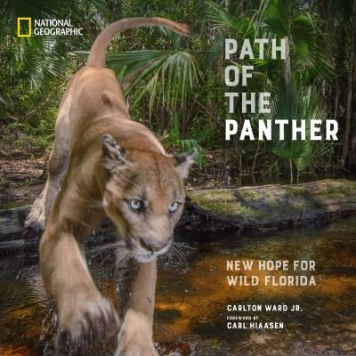 Cover for Carlton Ward · Path of the Panther: New Hope for Wild Florida (Hardcover Book) (2023)