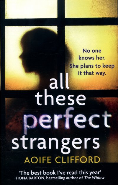 All These Perfect Strangers - Aoife Clifford - Bøger - Simon & Schuster Ltd - 9781471153624 - 25. august 2016
