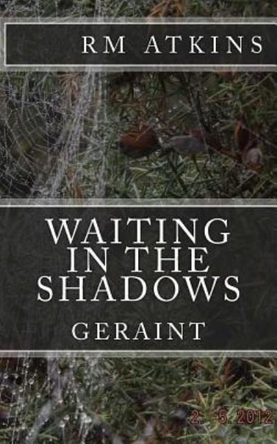 Cover for R M Atkins · Waiting in the Shadows (Taschenbuch) (2016)