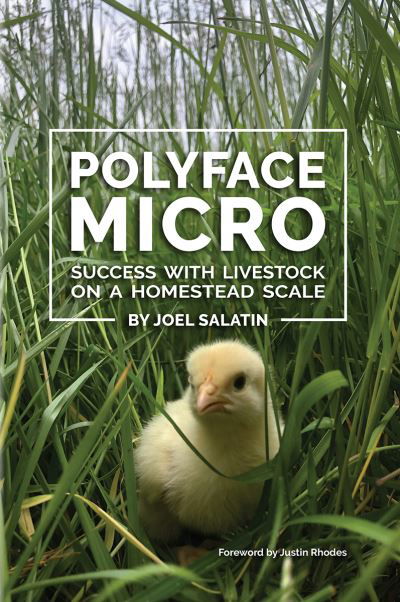 Polyface Micro: Success with Livestock on a Homestead Scale - Joel Salatin - Livros - Polyface, Incorporated - 9781733686624 - 17 de março de 2022