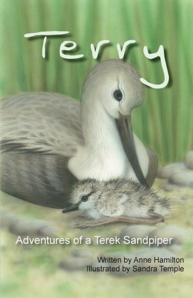 Cover for Anne Hamilton · Terry: Adventures of a Terek Sandpiper (Paperback Book) (2013)