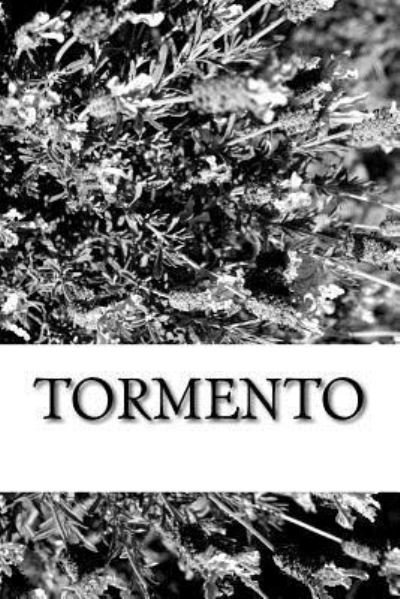 Tormento - Benito Perez Galdos - Libros - Createspace Independent Publishing Platf - 9781985724624 - 19 de febrero de 2018