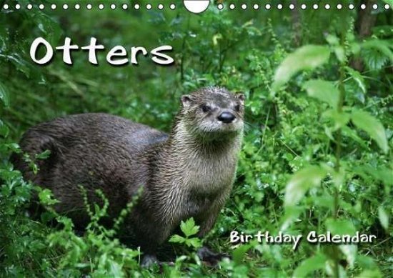 Cover for Berg · Otters / UK-Version / Birthday Cal (Bok)
