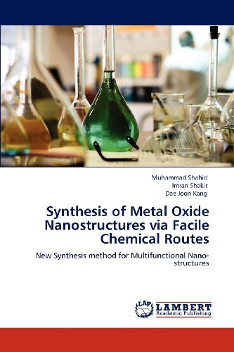 Cover for Dae Joon Kang · Synthesis of Metal Oxide Nanostructures Via Facile Chemical Routes: New Synthesis Method for Multifunctional Nano-structures (Paperback Book) (2012)