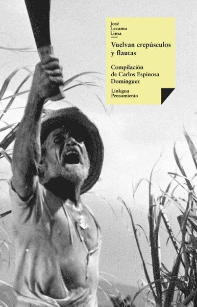 Cover for Felipe Arroyo De La Cuesta · Extracto De La Gramática Mutsyb (Memoria-lenguas) (Spanish Edition) (Hardcover Book) [Spanish edition] (2024)