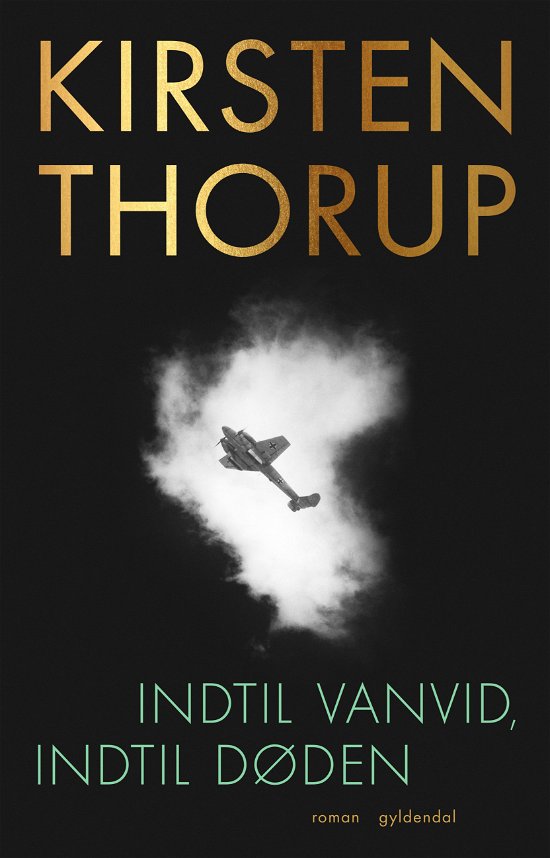 Cover for Kirsten Thorup · Indtil vanvid, indtil døden (Heftet bok) [1. utgave] (2020)
