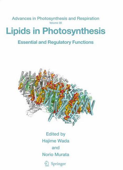 Hajime Wada · Lipids in Photosynthesis: Essential and Regulatory Functions - Advances in Photosynthesis and Respiration (Hardcover Book) [2009 edition] (2009)