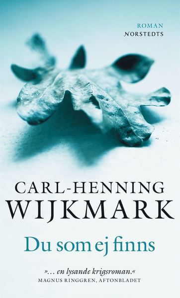 Du som ej finns - Carl-Henning Wijkmark - Książki - Norstedts - 9789113020624 - 22 maja 2008