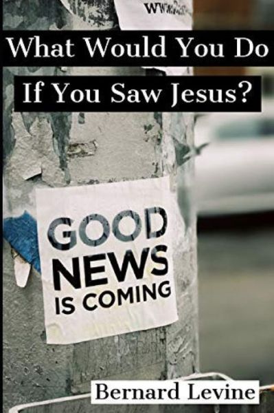 What Would You Do If You Saw Jesus? - Bernard Levine - Books - Independently Published - 9798564699624 - March 31, 2021