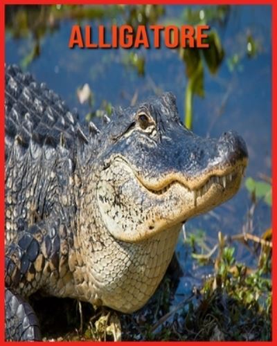 Cover for Alicia Moore · Alligatore (Paperback Book) (2021)