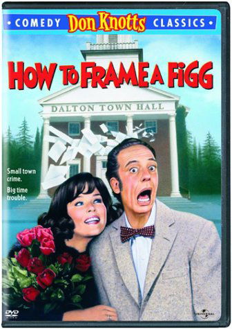 Cover for How to Frame a Figg (DVD) (2003)