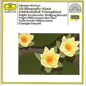Cover for J. Brahms · Alt Rapsodie / Nanie / Lieder (CD) (2002)
