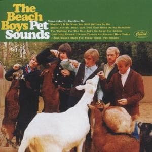 Cover for The Beach Boys · Pet Sounds - 40th Anniversary (CD/DVD) (2006)