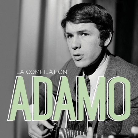 Cover for Salvatore Adamo · La Compilation (CD) (2020)