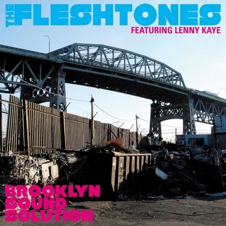 Cover for Fleshtones · Brooklyn Sound Solution (CD) [Digipak] (2011)