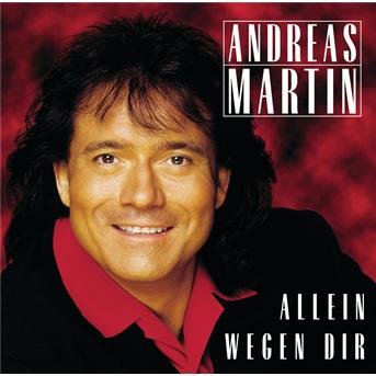 Cover for Andreas Martin · Allein Wegen Dir (CD) (1998)