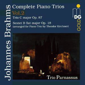Complete Piano Trios 2 - Brahms / Trio Parnassus - Musiikki - MDG - 0760623065625 - tiistai 20. elokuuta 1996