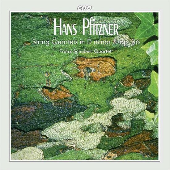 Cover for H. Pfitzner · String Quartets In D Mino (CD) (1998)