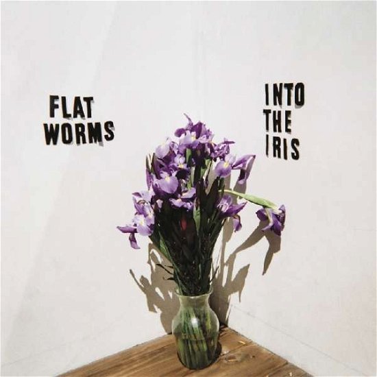 Cover for Flat Worms · Into The Iris (CD) (2019)