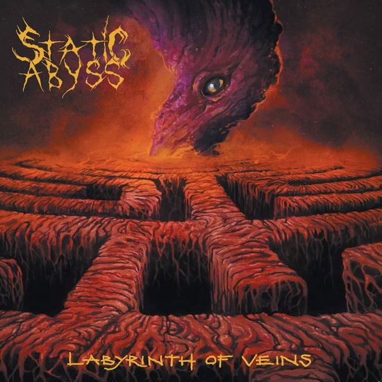 Cover for Static Abyss · Labyrinth of Veins (CD) (2022)