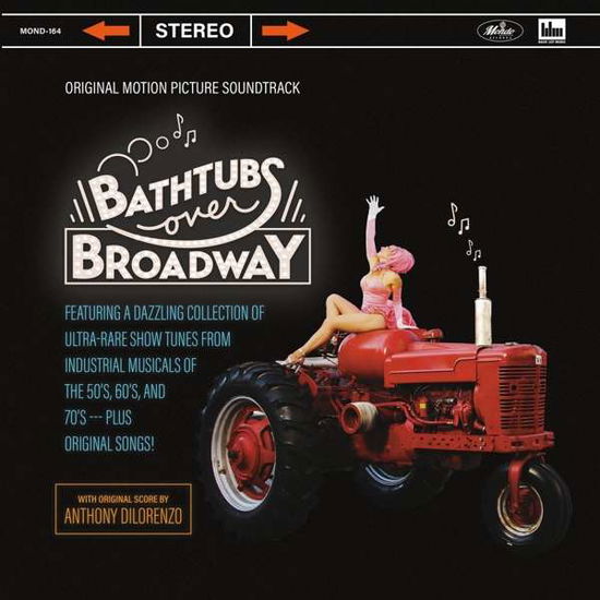 Cover for Original Motion Picture Soundt · Bathtubs Over Broadway (LP) (2020)