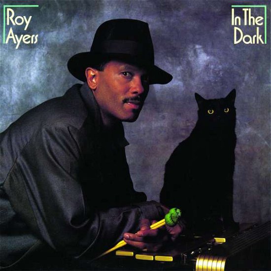 In The Dark - Roy Ayers - Music - Funkytown Grooves - 0886919707625 - May 26, 2017