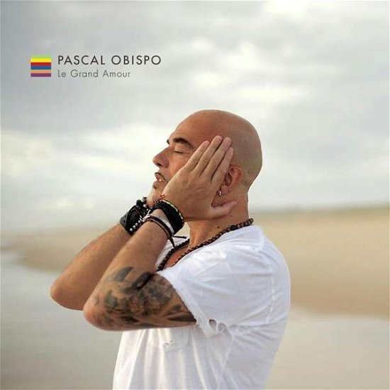 Cover for Pascal Obispo · Le Grand Amour (CD) (2013)
