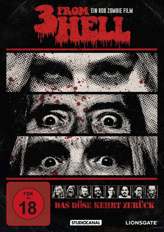 Cover for Moon Zombiesheri / haigsid · 3 From Hell (DVD) (2019)