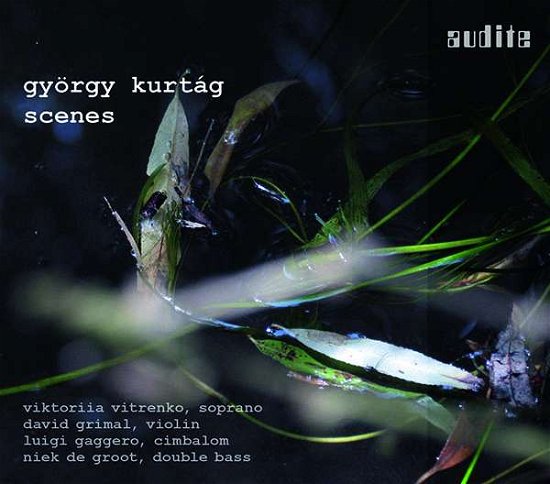 Cover for Viktorlia Vitrenko / David Grimal · Kurtag - Scenes (CD) (2019)