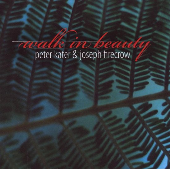 Cover for Peter Kater · Kater / Firecrow - Walk In Beauty (CD) (2010)