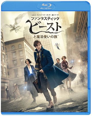 Fantastic Beasts and Where to Find Them - Eddie Redmayne - Musiikki - WARNER BROS. HOME ENTERTAINMENT - 4548967343625 - keskiviikko 18. lokakuuta 2017