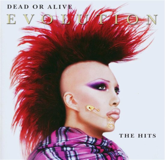 Cover for Dead or Alive · Evolution -standard- (CD) (2006)