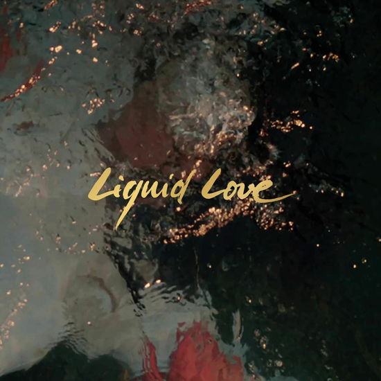 Liquid Love - Intergalactic Lovers - Musik - NEWS - 5414165128625 - 25. Februar 2022