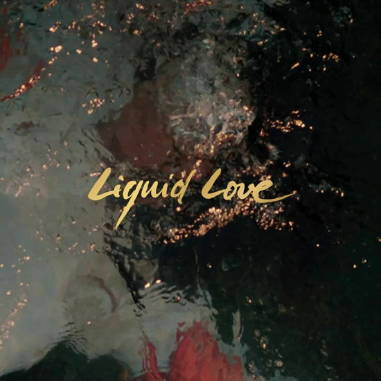 Cover for Intergalactic Lovers · Liquid Love (CD) (2022)