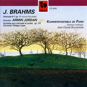 Serenade Op.11 - Johannes Brahms - Música - GALLO-VDE - 7619918084625 - 25 de outubro de 2019