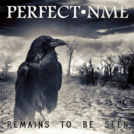 Remains To Be Seen - Perfect Nme - Music - WORMHOLEDEATH - 8033622537625 - September 18, 2020