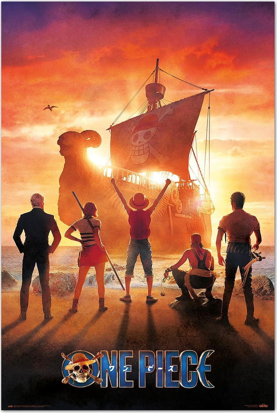 Cover for One Piece Netflix · ONE PIECE NETFLIX - Pirates - Poster 61 x 91cm (Spielzeug)