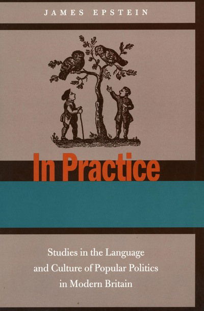 In Practice: Studies in the Language and Culture of Popular Politics in Modern Britain - James Epstein - Książki - Stanford University Press - 9780804746625 - 24 grudnia 2002