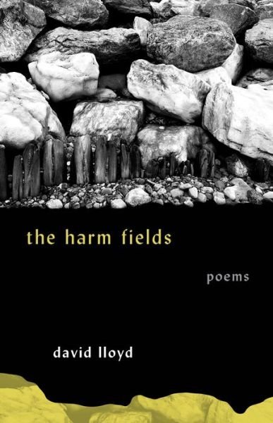 Cover for David Lloyd · The Harm Fields: Poems - Georgia Review Books Series (Paperback Book) (2022)