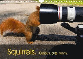 Squirrels. Curious, cute, funn - Reichert - Książki -  - 9781325527625 - 