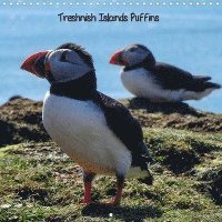 Cover for Eccles · Treshnish Islands Puffins (Wall (Buch)