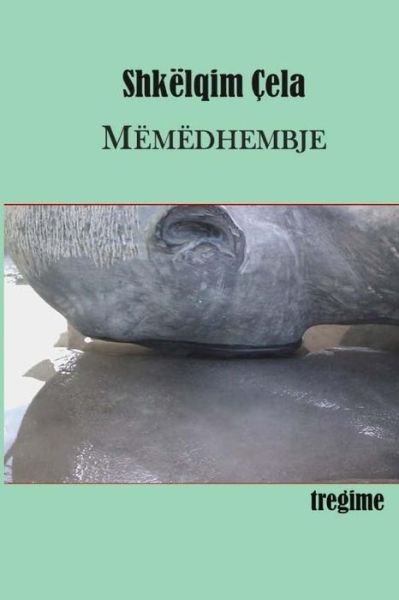 Cover for Shkelqim Cela · Memedhembje (Paperback Book) (2014)