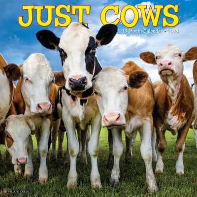 Cover for Willow Creek Press · Just Cows 2025 12 X 12 Wall Calendar (Kalender) (2024)