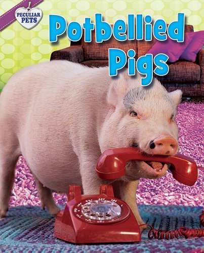 Cover for Natalie Lunis · Potbellied Pigs (Peculiar Pets) (Inbunden Bok) (2009)