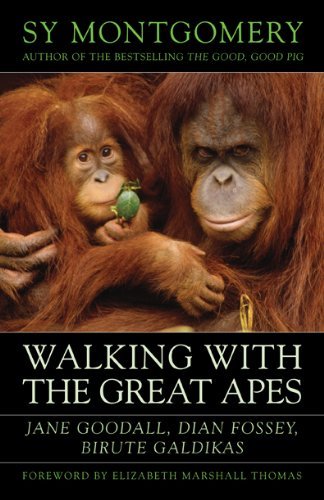 Cover for Sy Montgomery · Walking with the Great Apes: Jane Goodall, Dian Fossey, Birute Galdikas (Paperback Bog) [Reprint edition] (2013)