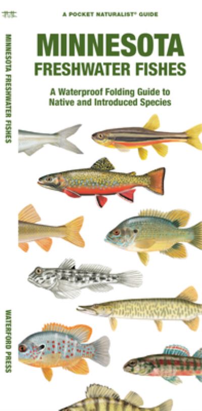 Cover for Matthew Morris · Minnesota Freshwater Fishes (Pamphlet) (2022)