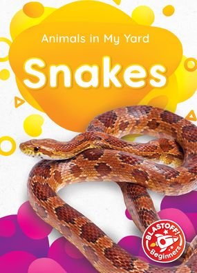 Cover for Amy McDonald · Snakes (Innbunden bok) (2021)