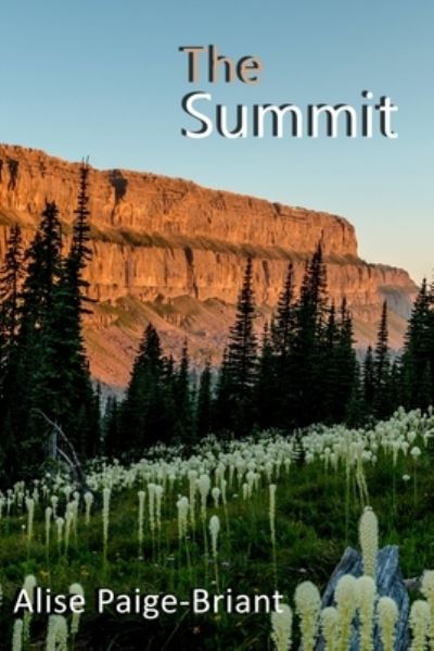 Cover for Alise Paige-Briant · The Summit (Paperback Book) (2021)