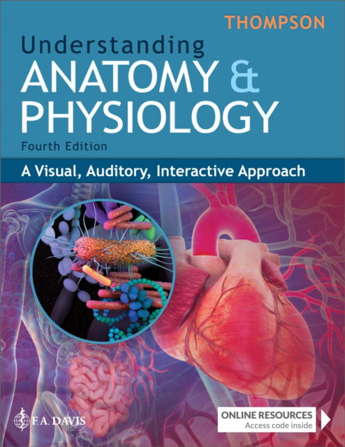 Cover for Gale Sloan Thompson · Understanding Anatomy &amp; Physiology: A Visual, Auditory, Interactive Approach (Pocketbok) [4 Revised edition] (2024)